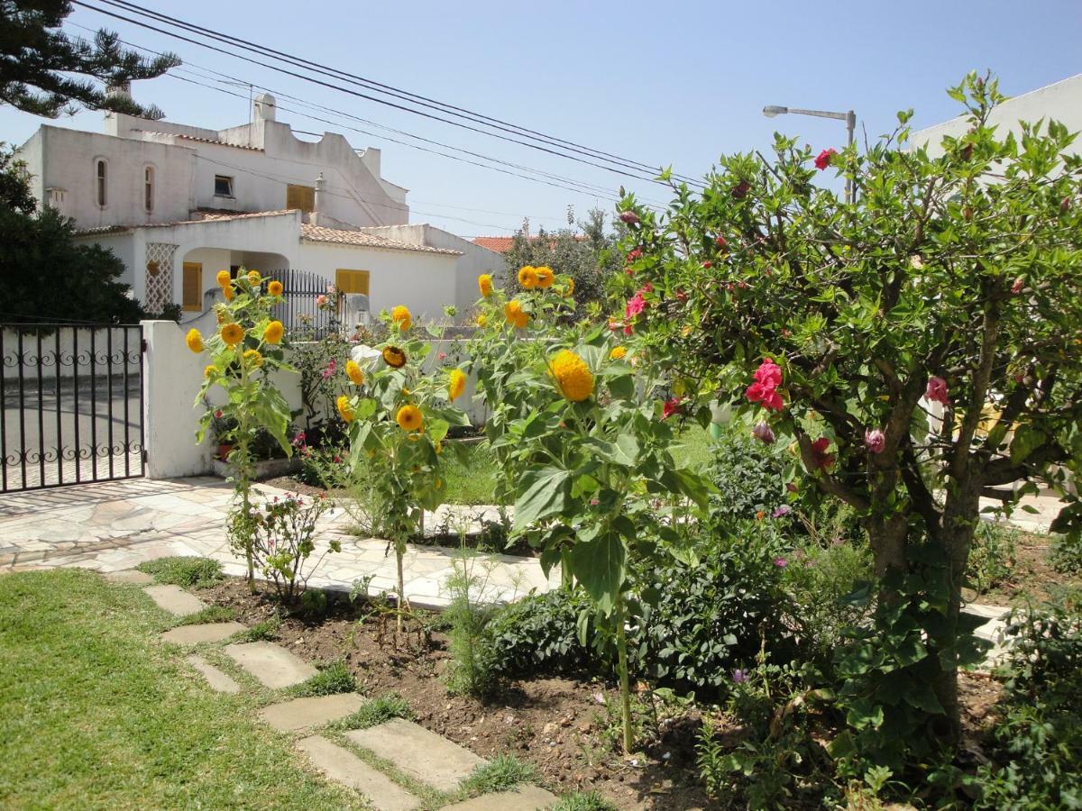 Guest house Lemon Tree Relaxing Lagos