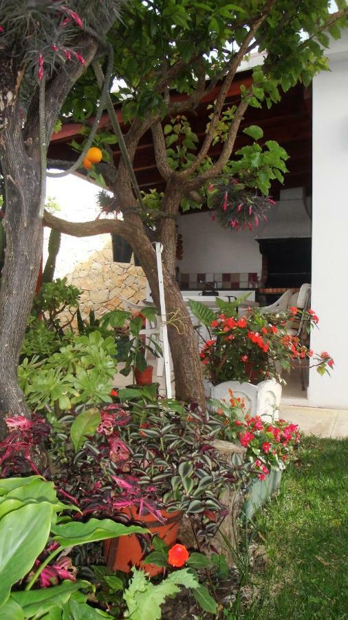 Lemon Tree Relaxing Guest house *